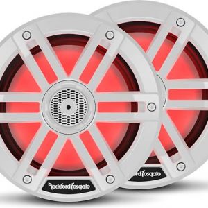 Rockford Fosgate M1-65