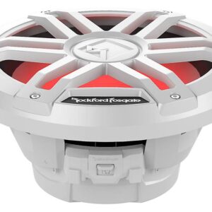Rockford Fosgate - M1D2-10